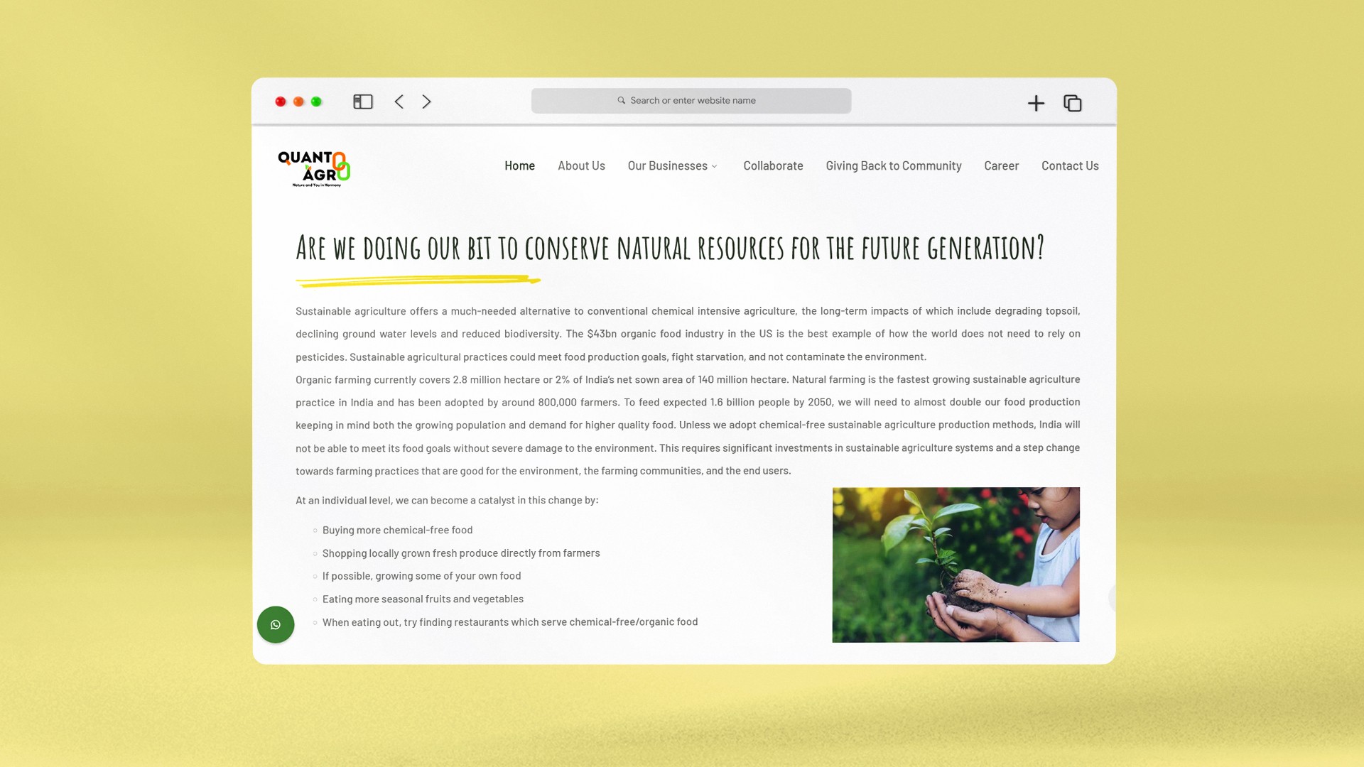Kalaa Creations | Web Content Writing | Quanto Agro World